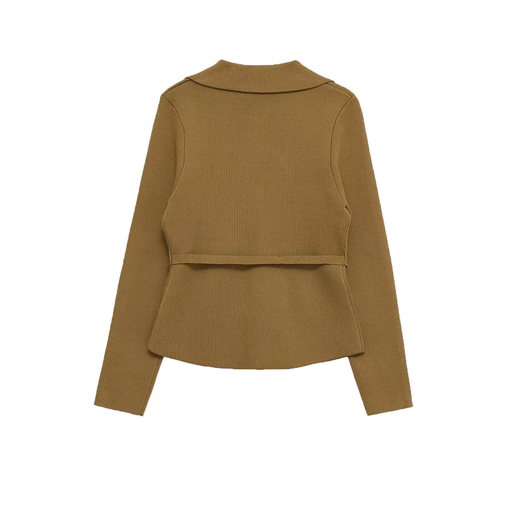 Solid Color Flip Collar Knitted Dress with Belt, Elastic Midi Straight Cut Dress